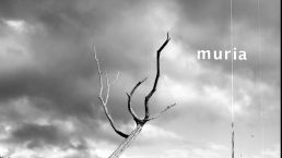 Muria (Ismael Aveleira y Marina Diez, 2020) 1_0